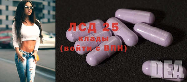 прущие крисы Алзамай