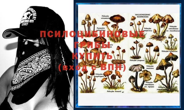 МДПВ Аркадак
