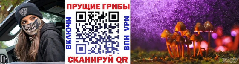Галлюциногенные грибы мицелий купить наркоту Плавск